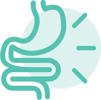 Digestion and Gut health icon