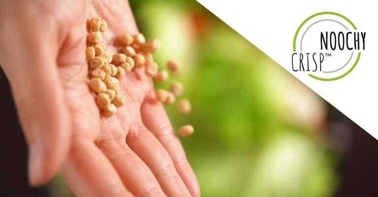 noochycrisp-infographic-resources-gnosisbylesaffre