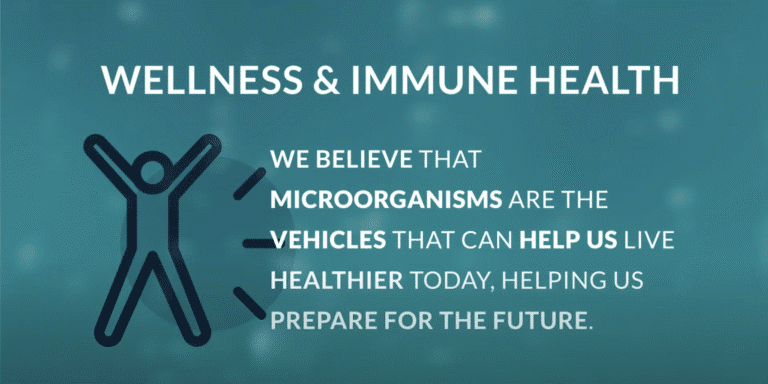 Wellness market video