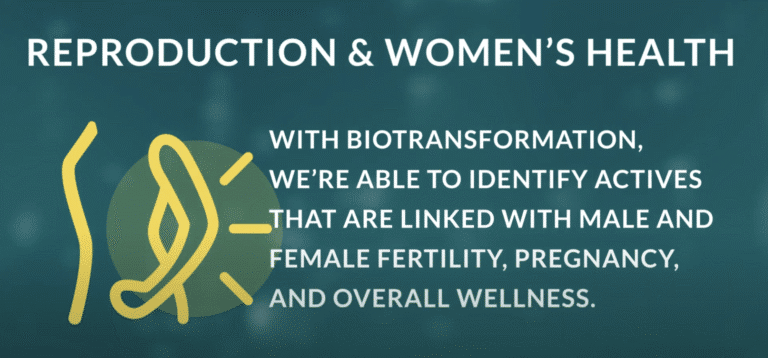 reproduction-womens-video
