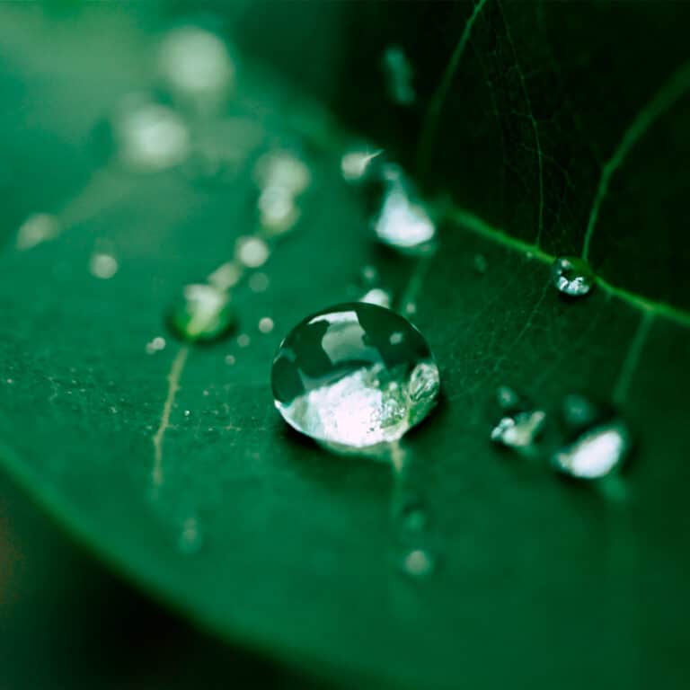 Sustainable Formulations