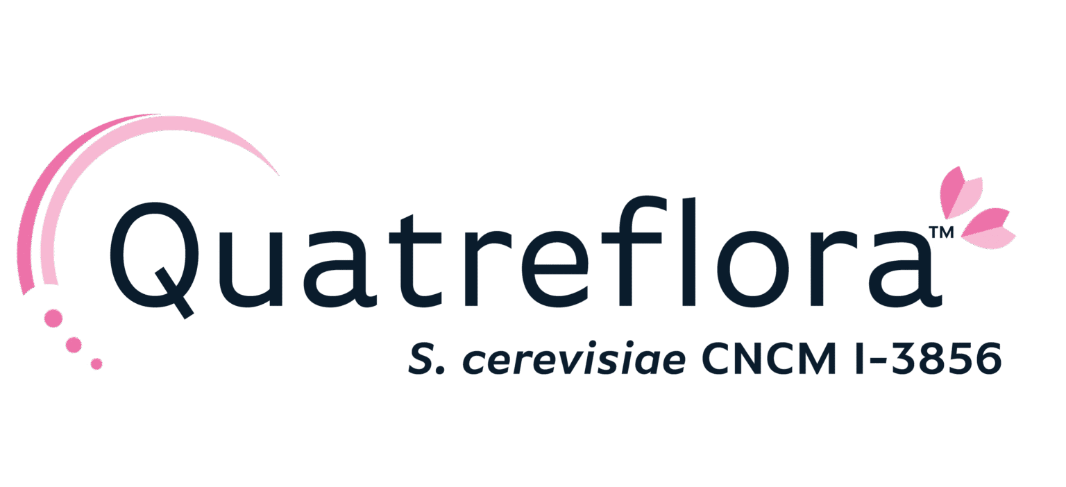 Quatreflora S.cerevisiae CNCMI-3856