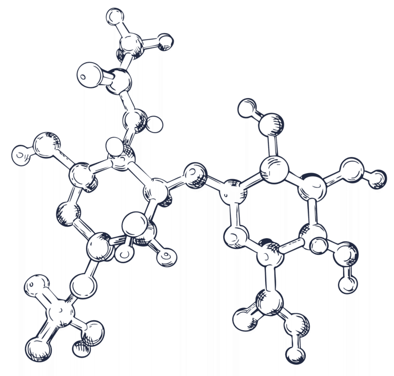Mycondro Molecule Example