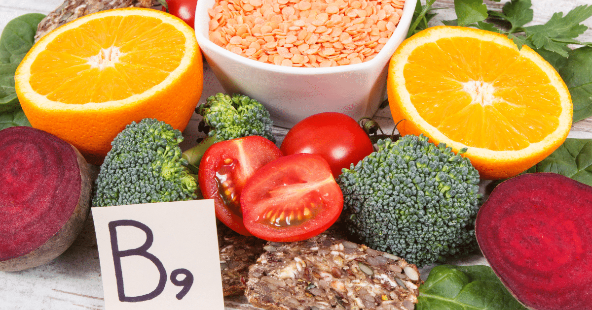 A New Study Highlights Probiotics’ Potential in Addressing Folate Deficiency