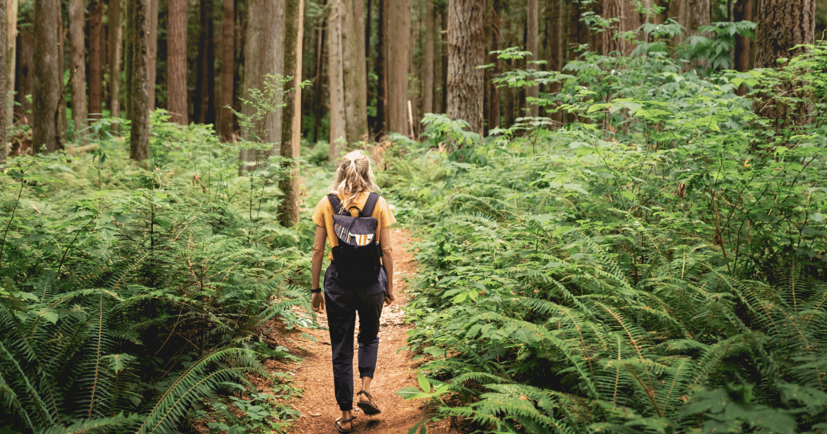 Fermentation-Derived Chondroitin Sulfate: A Game Changer