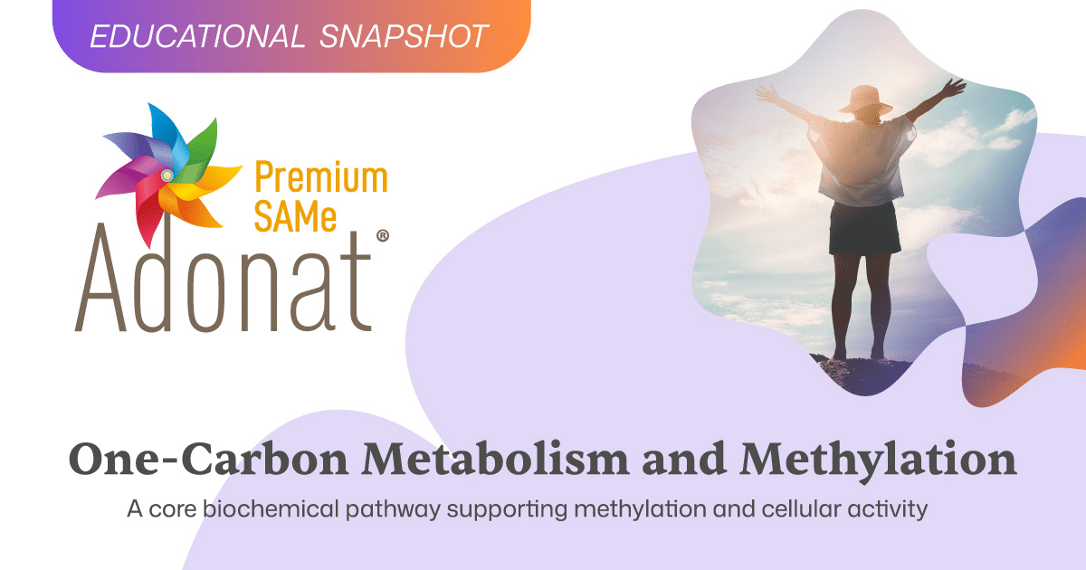 Methylation Explained: Why SAMe Is Crucial for Your Body’s Biochemical Balance