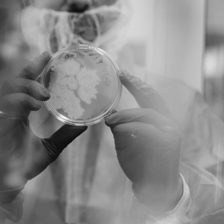 Scientist holding a petri dish