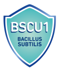 LIFEINU_BSCU1_LOGO-e1629368409862